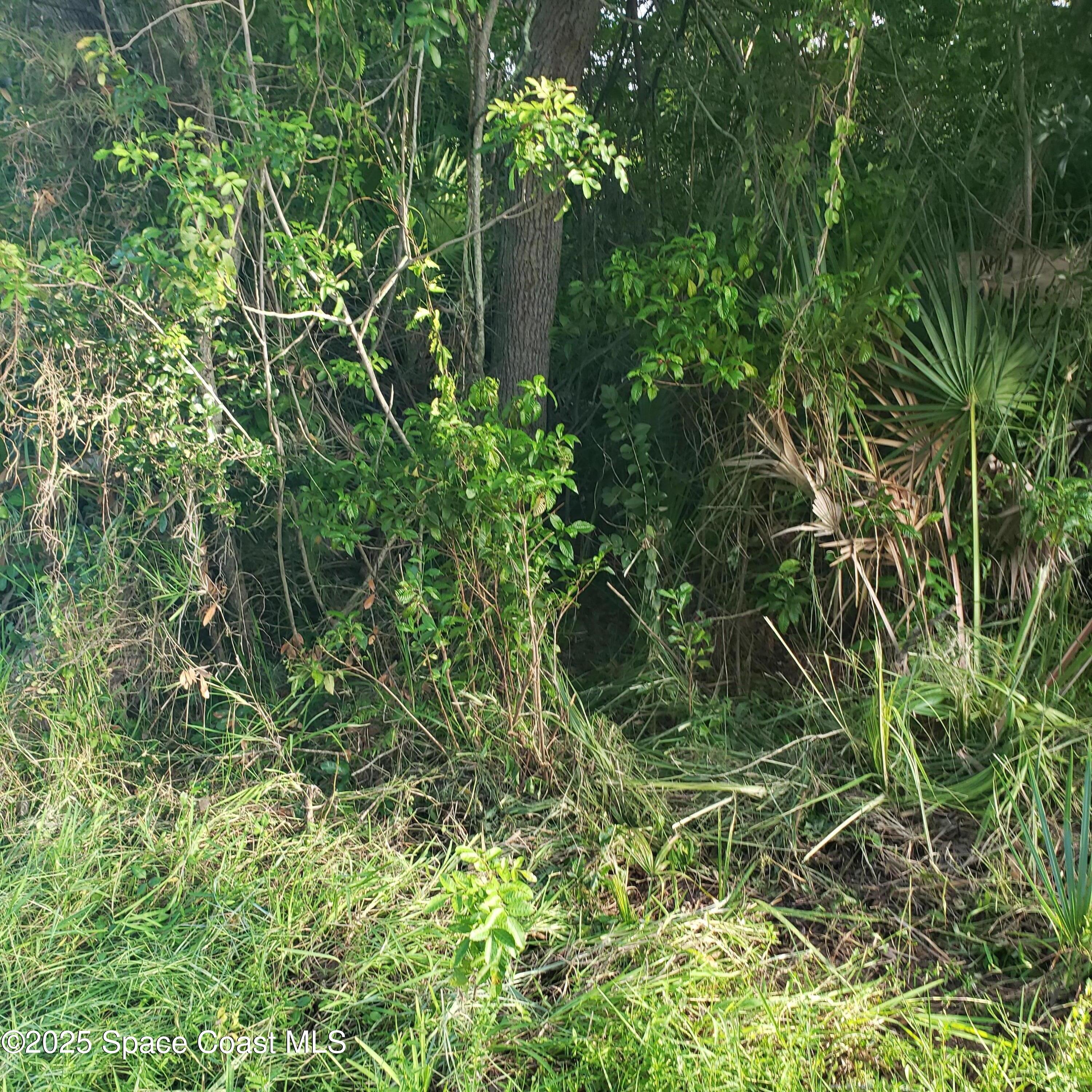 Land in Merritt Island
