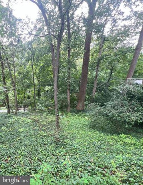 Lot P6 Block 3 Sligo Creek Parkway, TAKOMA PARK, MD, 20912 | Card Image