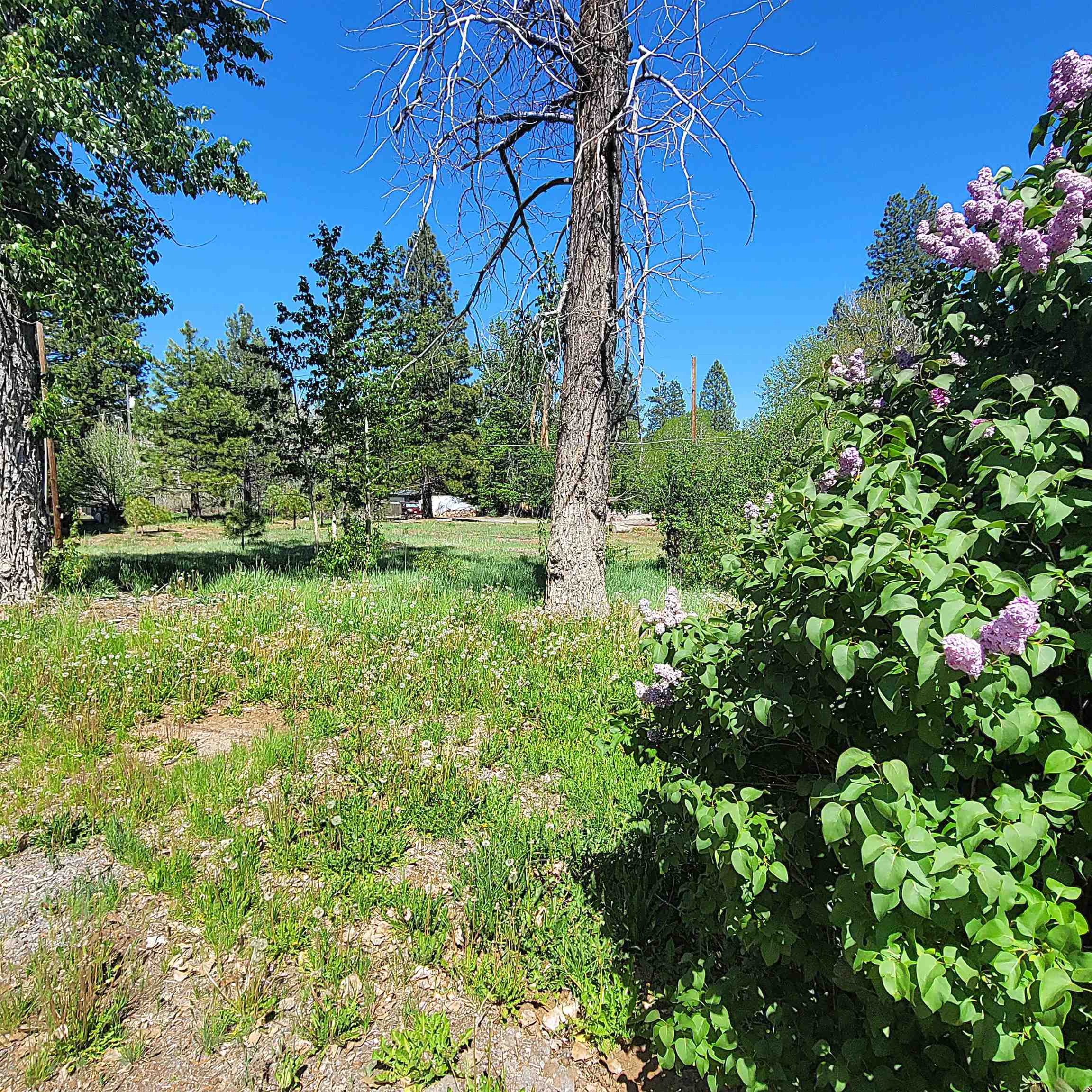 Land in Westwood