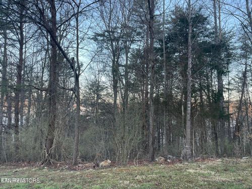 lot 14 Hiwassee Dr, Jacksboro, TN, 37757 | Card Image