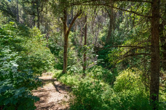 0000 E Fork Rd, Home with 0 bedrooms, 0 bathrooms and null parking in French Gulch CA | Image 46
