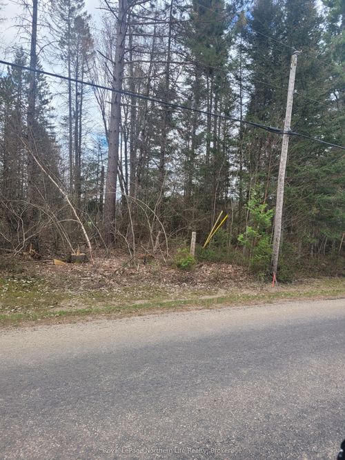PT LOT 19 Con 13 N/A, Papineau Cameron, ON, P0H1V0 | Card Image