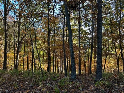 373 Old Highway 18, Tennessee Ridge, TN, 37178 | Card Image