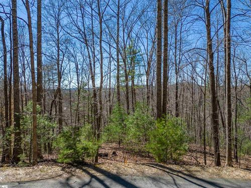 132 Overlook Park Dr, Hendersonville, NC, 28792-6484 | Card Image