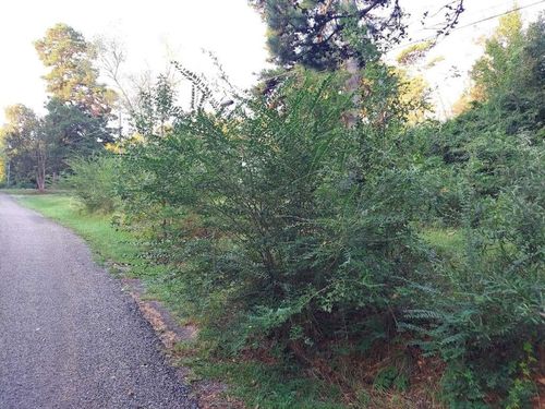 0 Pearson St, Avinger, TX, 75630 | Card Image