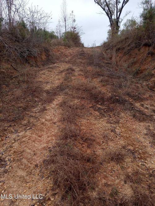 Tbd Homochitto Rd, Gloster, MS, 39638 | Card Image