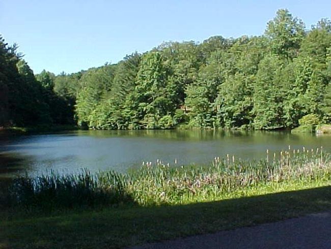 82 Alpine Way, House other with 3 bedrooms, 2 bathrooms and null parking in Fancy Gap VA | Image 25