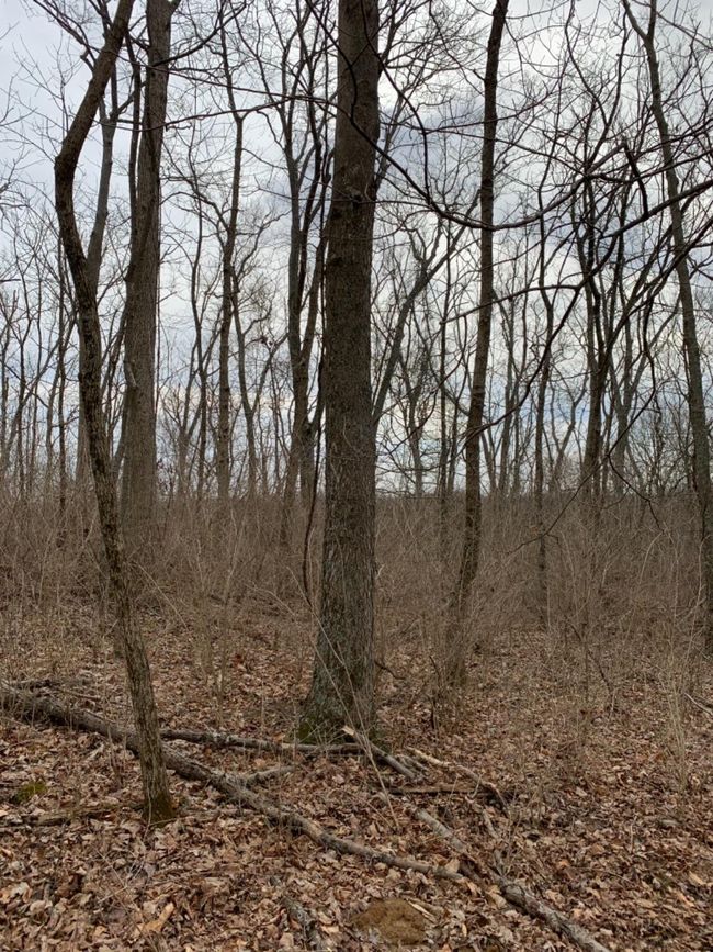 6049 Big Run Rd, Home with 0 bedrooms, 0 bathrooms and null parking in Georgetown OH | Image 32
