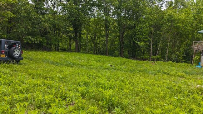 4042 Cabin Land Dr, Home with 3 bedrooms, 3 bathrooms and null parking in Radford VA | Image 12