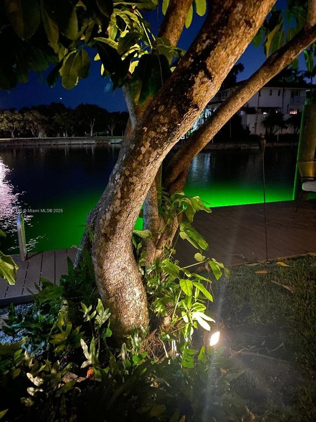 1460 Tagus Ave, House other with 5 bedrooms, 4 bathrooms and null parking in Coral Gables FL | Image 38