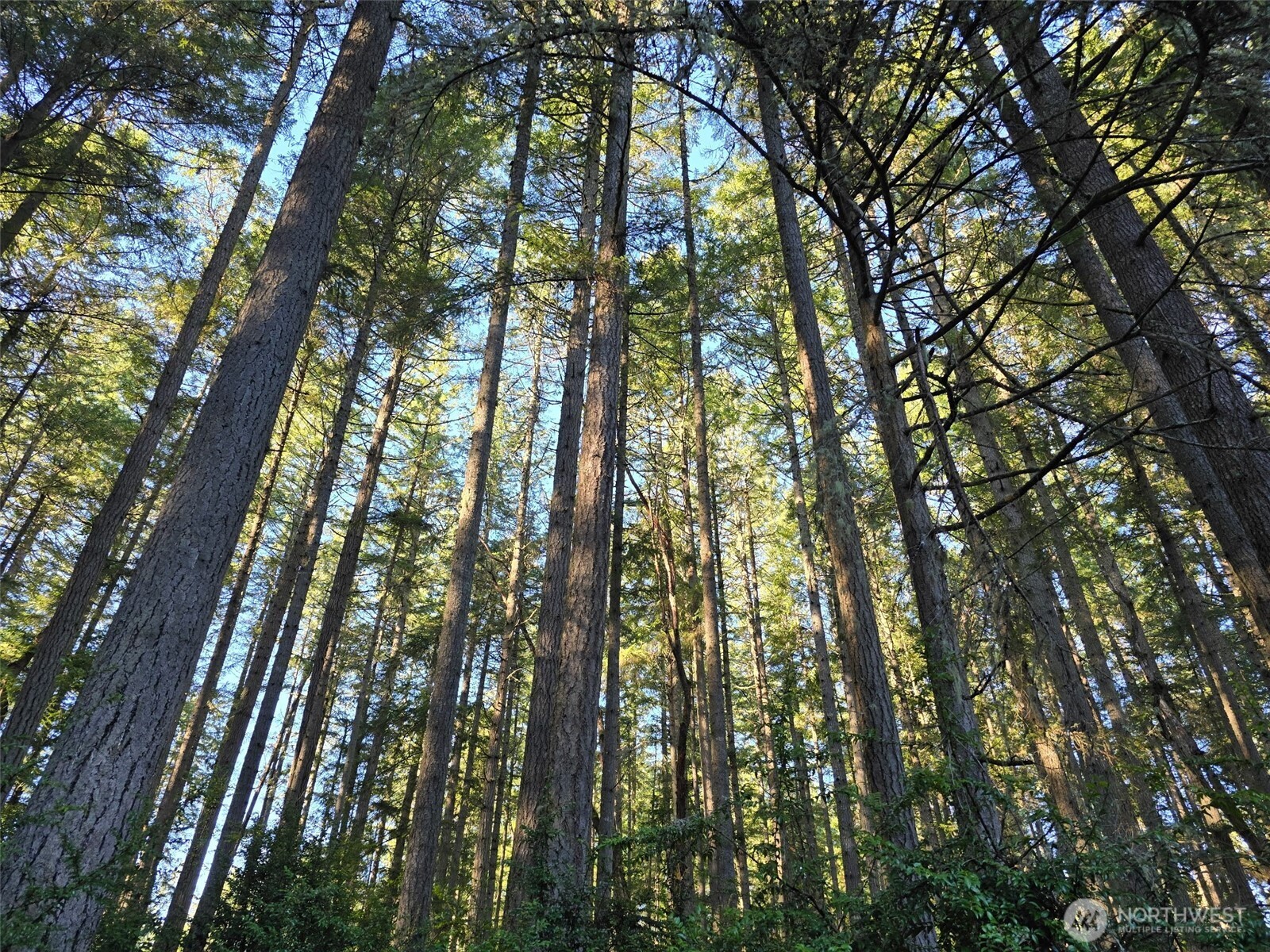 Land in Anderson Island 2