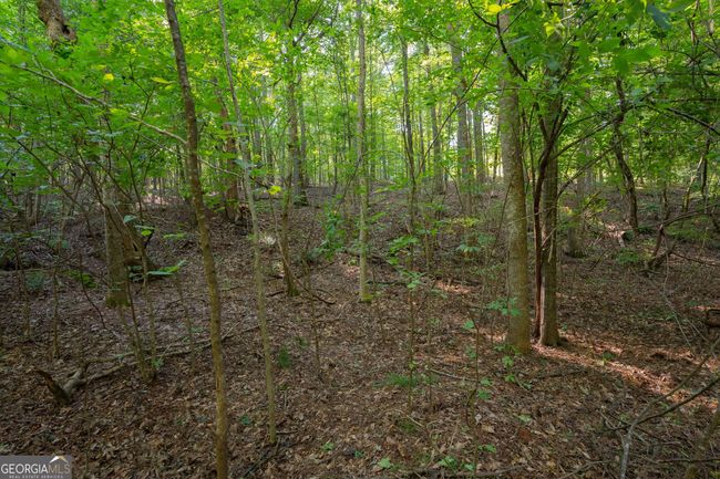 198.62+/- ACRES Apalachee Woods Trl, Home with 0 bedrooms, 0 bathrooms and null parking in Buckhead GA | Image 11