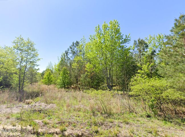 photo7 | Image 7