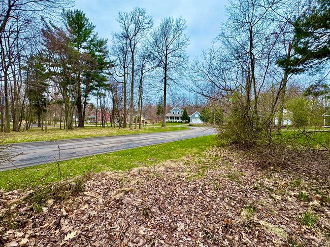 125 W Shorewood Dr, Home with 0 bedrooms, 0 bathrooms and null parking in Douglas MI | Image 9