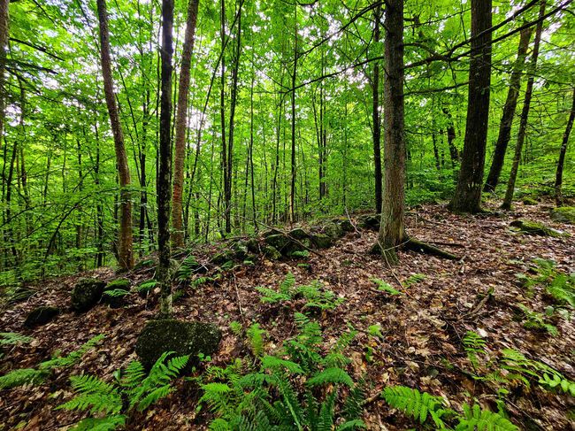 873 Royston Rdg, House other with 2 bedrooms, 0 bathrooms and null parking in Wells River VT | Image 19