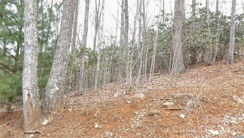 14-TBD Vineyards Retreat Road, Newland, NC, 28657 | Card Image