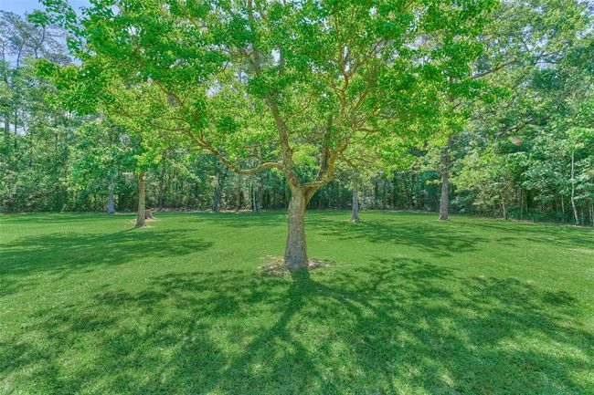 10038 Ramzi Dr, House other with 4 bedrooms, 5 bathrooms and null parking in Conroe TX | Image 44