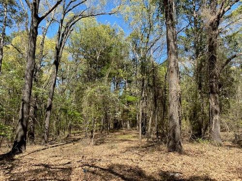 TBD Armadillo, Murchison, TX, 75778 | Card Image