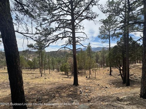 48 Crown Ridge Rd, Alto, NM, 88312 | Card Image