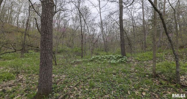 0 N Chambers Rd, Home with 0 bedrooms, 0 bathrooms and null parking in Smithfield IL | Image 31