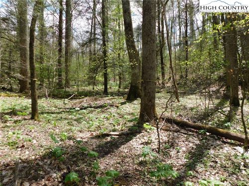 26 Black Bear Trail, Linville, NC, 28646 | Card Image