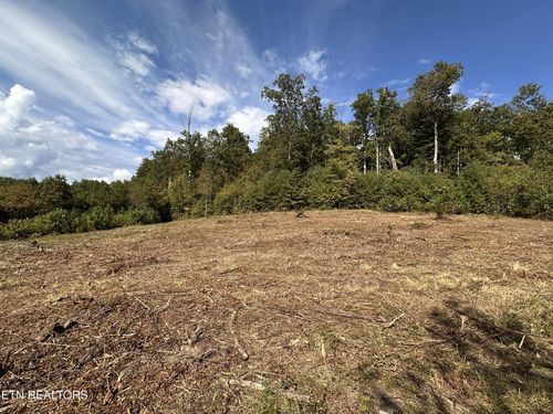 0 13.44 Ac Chestnut Ridge Rd, Allardt, TN, 38504 | Card Image