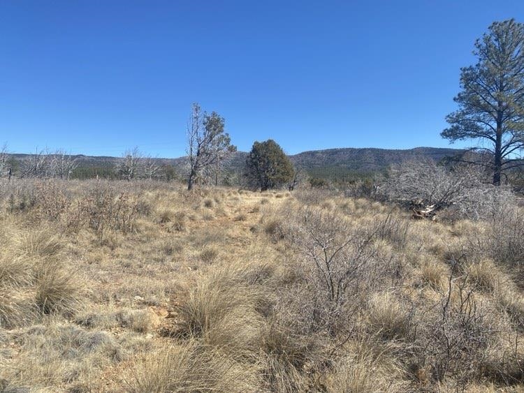 Land in Timberon 2