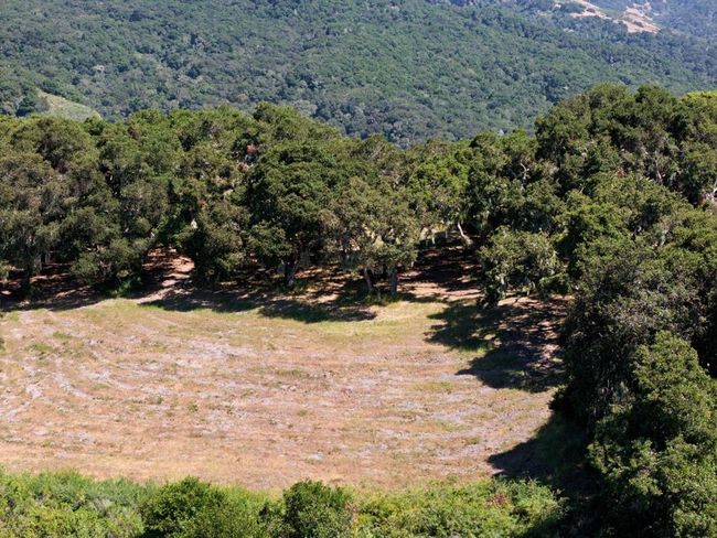 4 Holding Field Run, Home with 0 bedrooms, 0 bathrooms and null parking in Carmel CA | Image 11