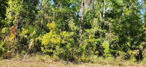 383 Ne 209th Ave, Old Town, FL, 32680-3707 | Card Image