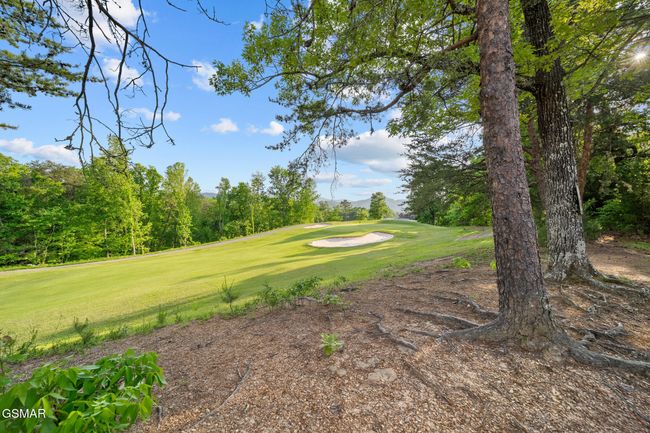 3106 - 830 Golf View Blvd, Condo with 2 bedrooms, 2 bathrooms and null parking in Pigeon Forge TN | Image 28