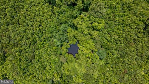 21-TBD Piney Grove Road, Alton, VA, 24520 | Card Image