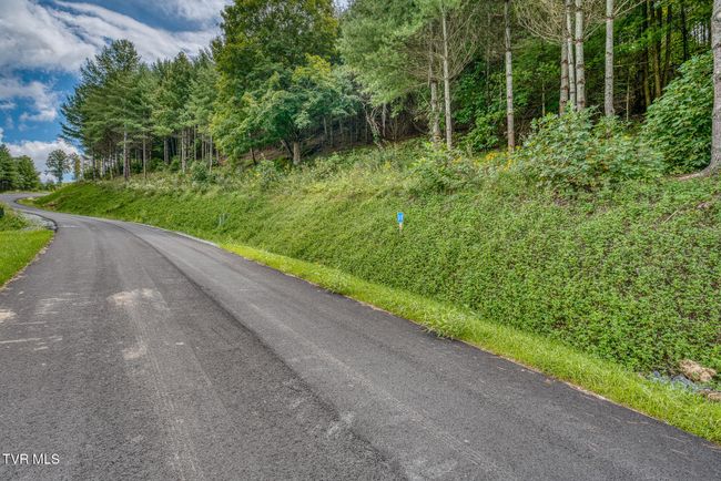 10 Cowan Town Rd, Home with 0 bedrooms, 0 bathrooms and null parking in Butler TN | Image 16