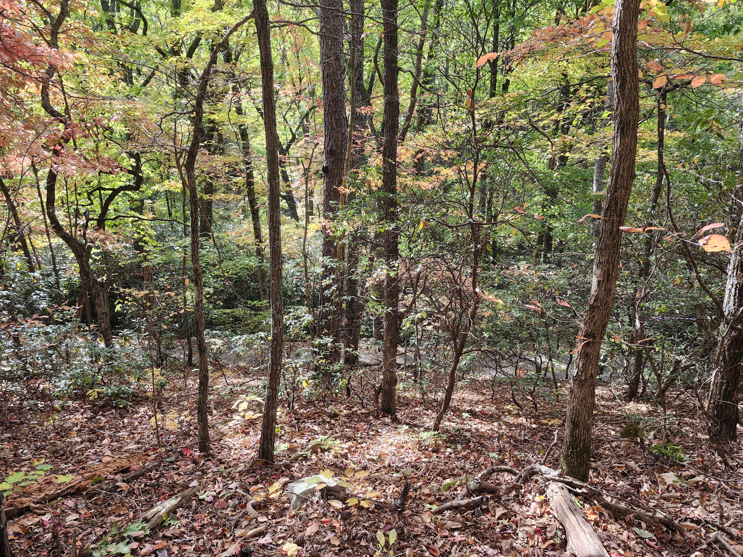 Land in Sevierville