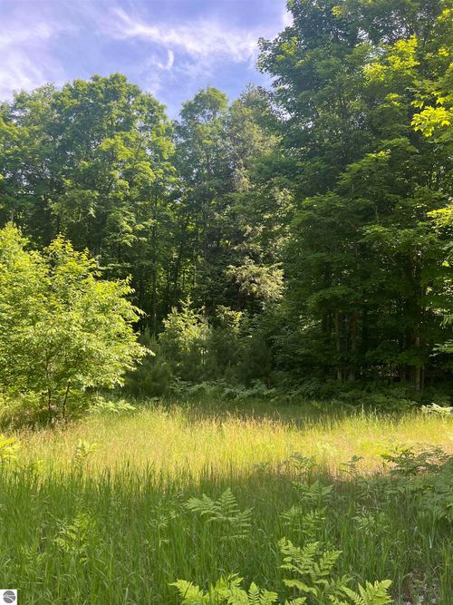 Parcel K Odell Rd, Williamsburg, MI, 49690 | Card Image