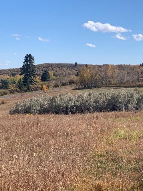16 Red Willow Court W, Rural Foothills County, AB, T2X0X0 | Card Image