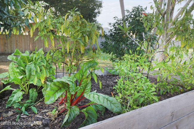 7230 Barbara Rd, House other with 3 bedrooms, 2 bathrooms and null parking in Cocoa FL | Image 29