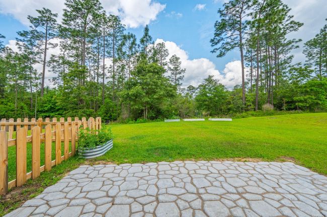 53-web-or-mls-3060-brandon-dunes-ln | Image 41