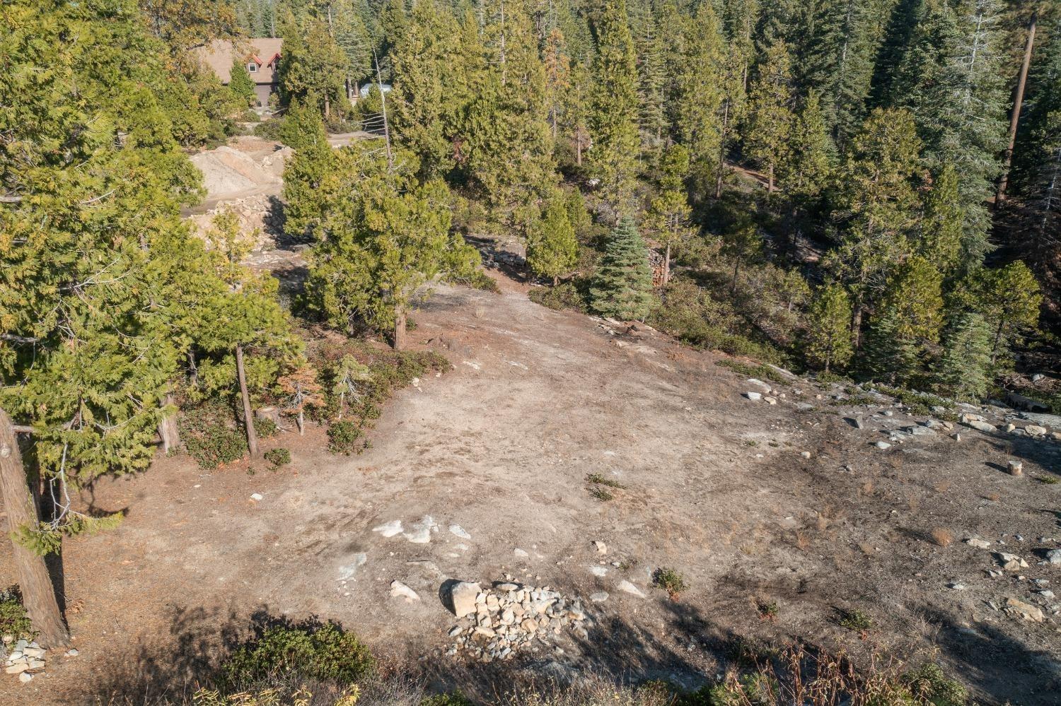 Land in Shaver Lake 3