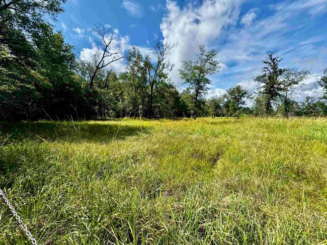 8982 Fm 2246 Rd, Home with 0 bedrooms, 0 bathrooms and null parking in Buna TX | Image 4