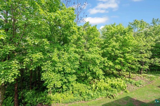 APT-206 - 20 Village Dr, Townhouse with 1 bedrooms, 2 bathrooms and null parking in Proctor MN | Image 16