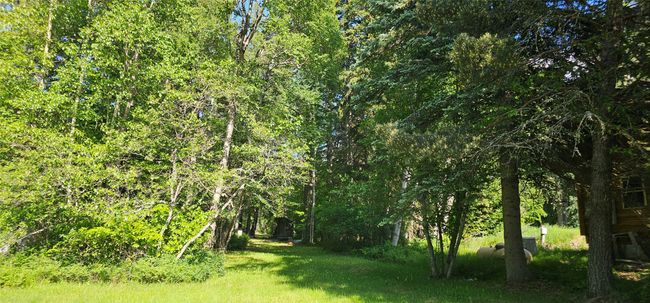 View of yard | Image 29