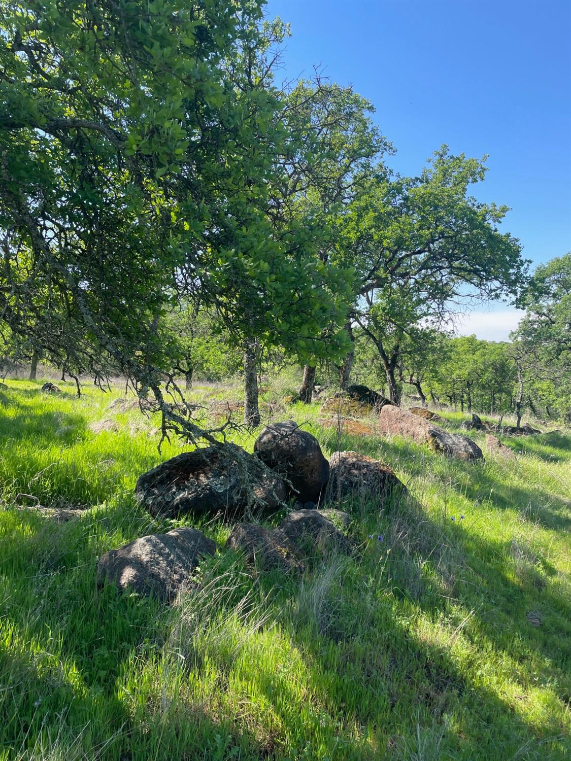 Land in Browns Valley 3