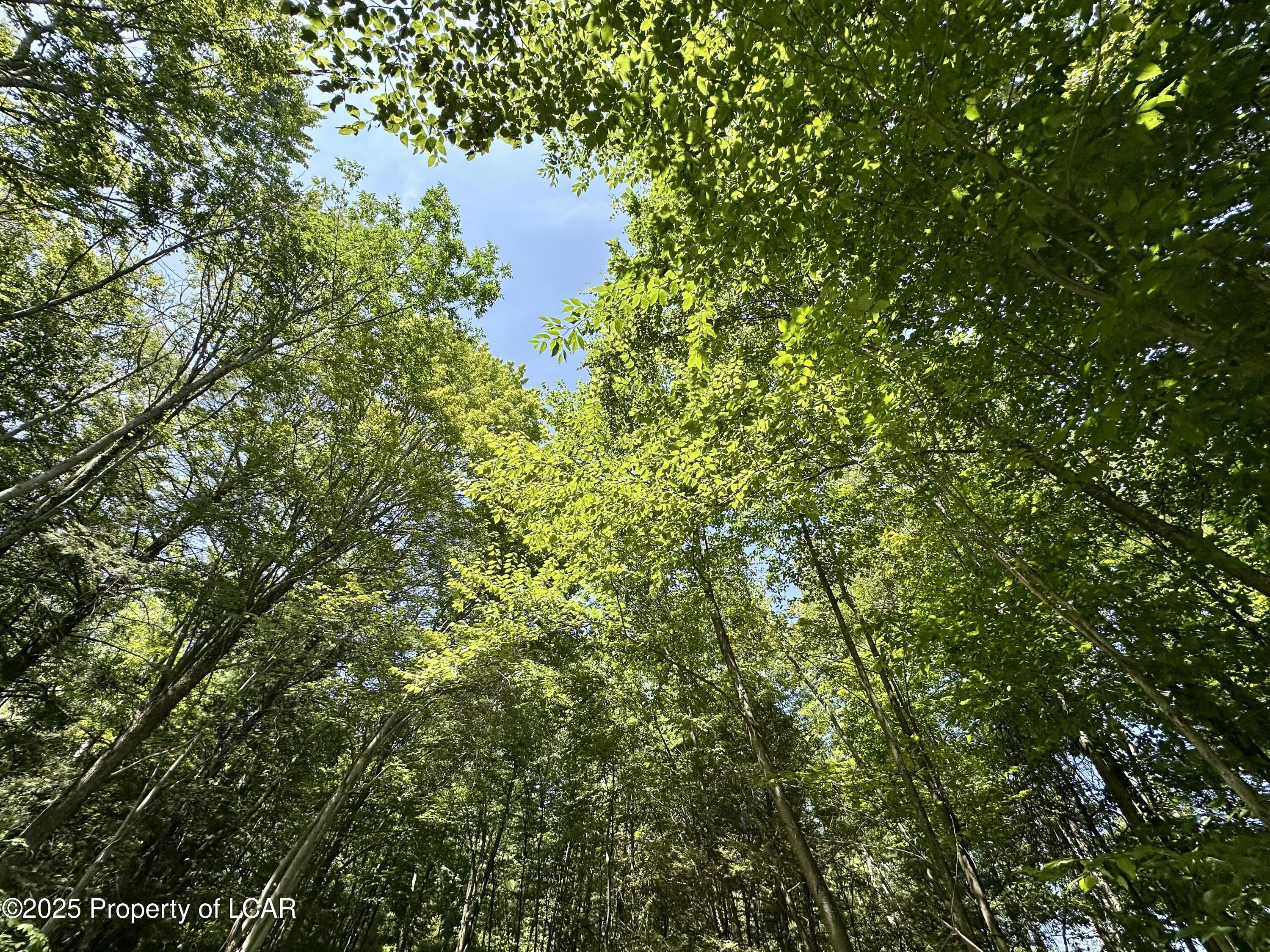 Land in North Abington Twp. 2