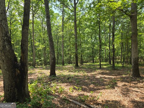 lot-2-0 Faulkner Rd, Monticello, GA, 31064 | Card Image