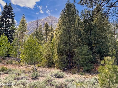 490 Natures Edge Rd, Gardnerville, NV, 89460-6441 | Card Image