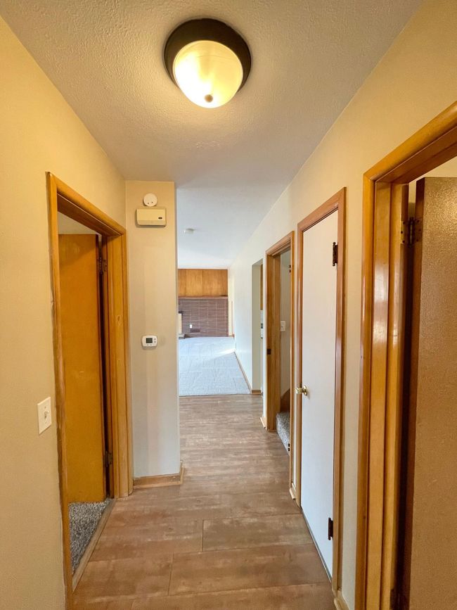 421 W Van Dusen St, House other with 5 bedrooms, 2 bathrooms and null parking in Springfield MN | Image 23