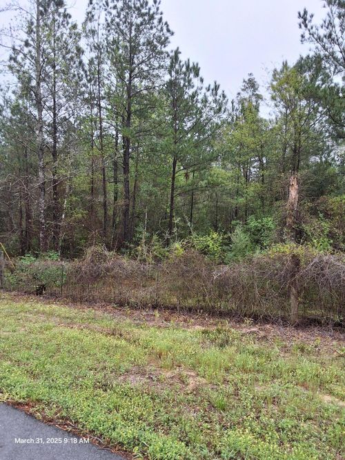 8 Tick Haven Ln, Crestview, FL, 32539-8266 | Card Image