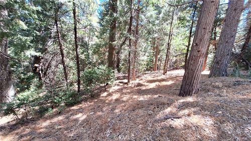 0 Cedarpines Dr, Cedarpines Park, CA, 92322 | Card Image