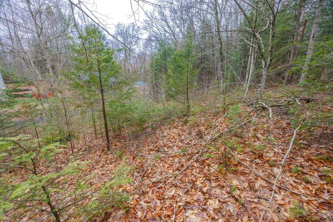 00 Squire Rd, Home with 0 bedrooms, 0 bathrooms and null parking in Farmington NH | Image 7