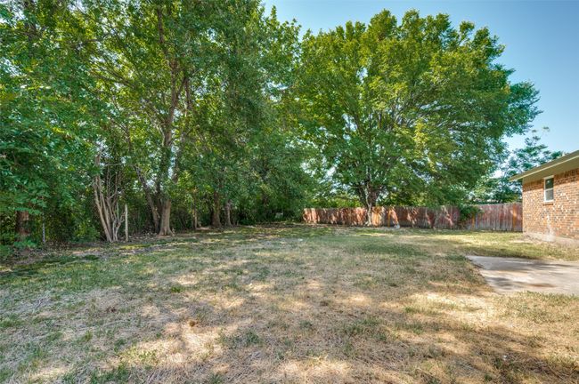 View of yard | Image 20